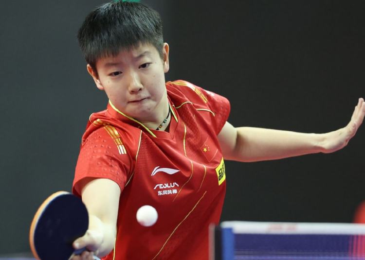 技巧熟练的 技巧熟练的